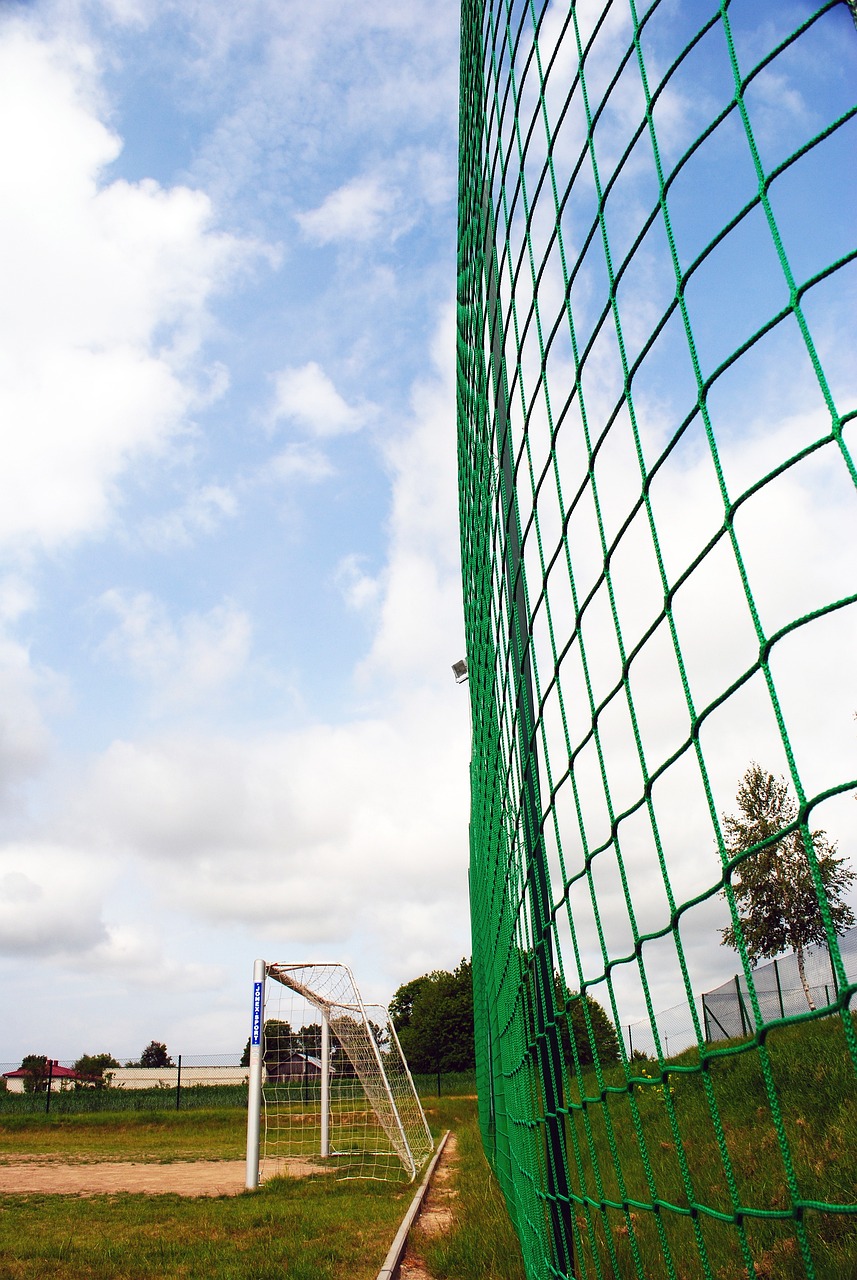 和影响力的 和影响力的