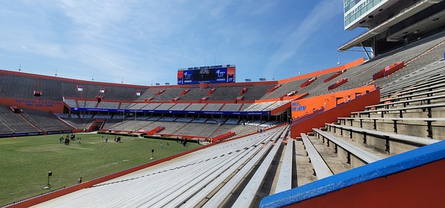 发展的支持 发展的支持