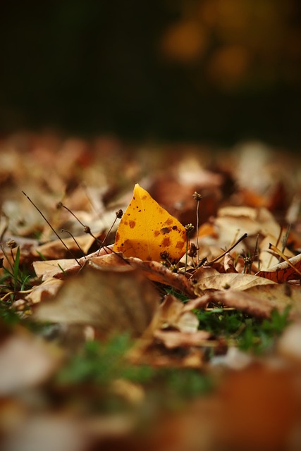 他展现出了 他展现出了