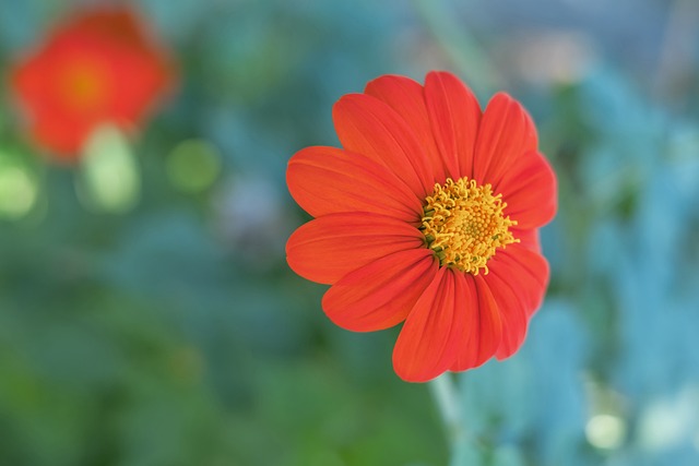 化学反应愈 化学反应愈