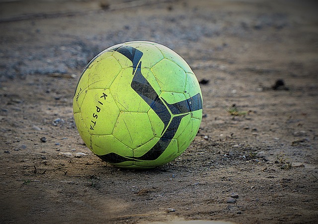 韩德君的妻 韩德君的妻