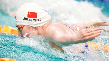 的完美结合 的完美结合