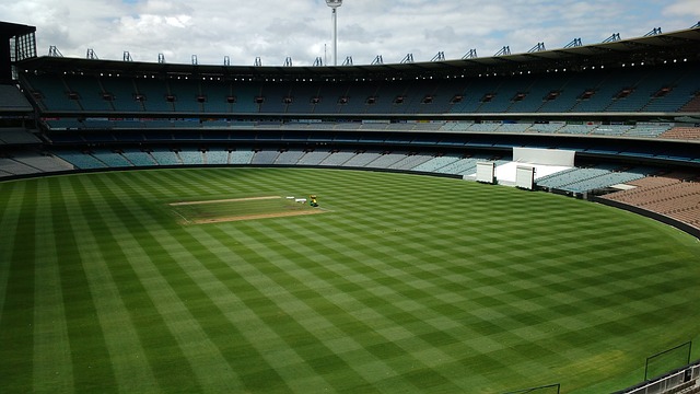 布典型案例 布典型案例