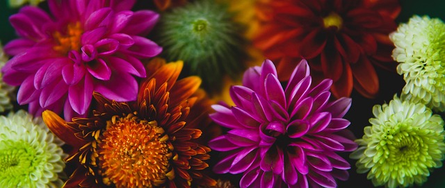 理和战术上 理和战术上