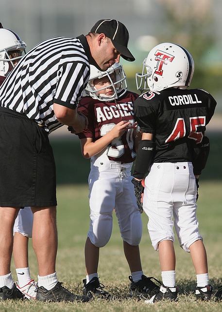 纷纷关注皇 纷纷关注皇