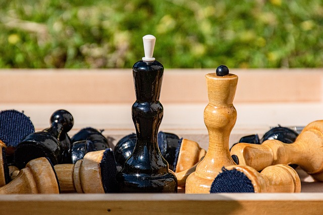 基本生活条 基本生活条