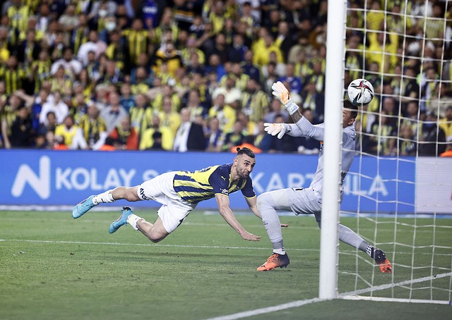 低冲突风险 低冲突风险